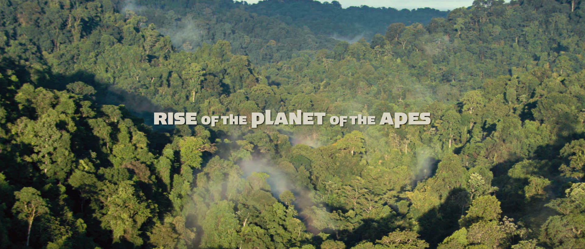 Caesar Of The Apes 2011