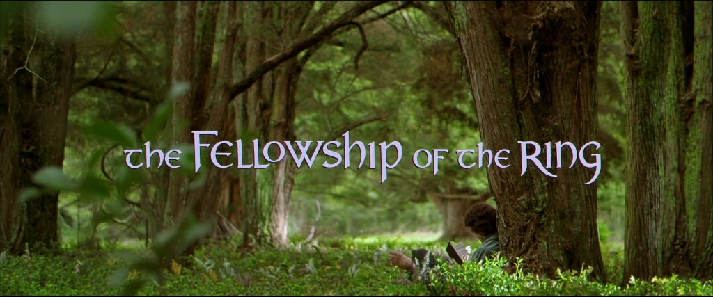 The Lord of the Rings: The Fellowship of the Ring - Movies on